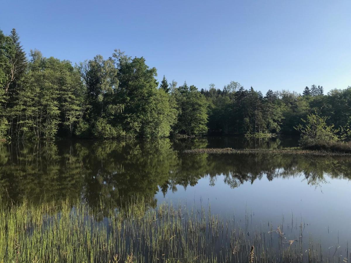 Gite Des Prary Des Mille Etangs Ternuay-Melay-et-Saint-Hilaire Bagian luar foto