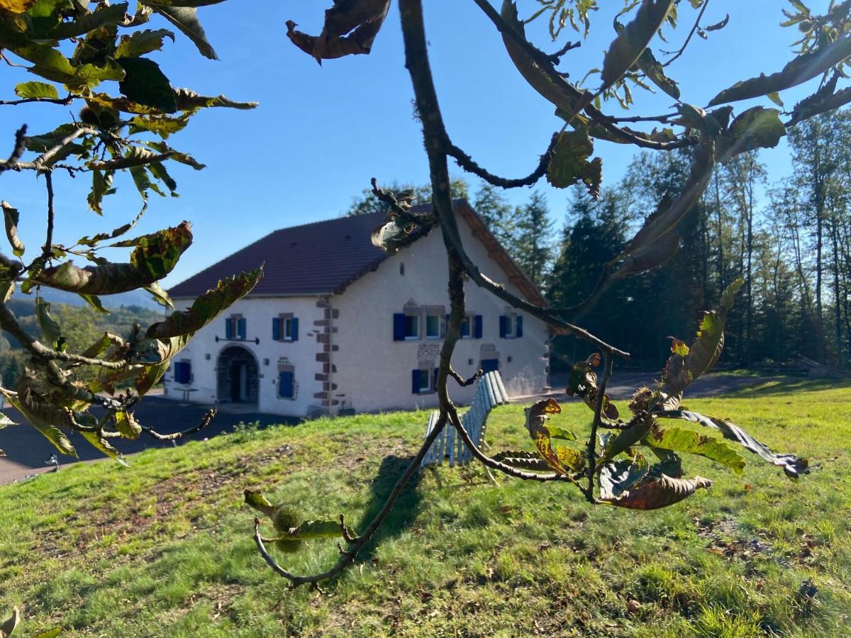 Gite Des Prary Des Mille Etangs Ternuay-Melay-et-Saint-Hilaire Bagian luar foto