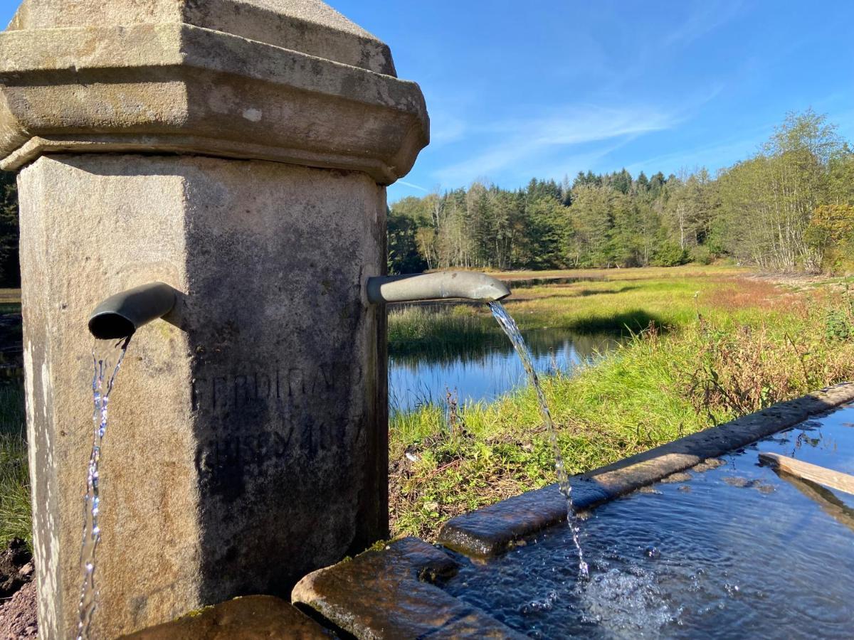 Gite Des Prary Des Mille Etangs Ternuay-Melay-et-Saint-Hilaire Bagian luar foto