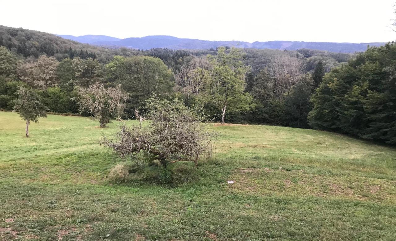 Gite Des Prary Des Mille Etangs Ternuay-Melay-et-Saint-Hilaire Bagian luar foto