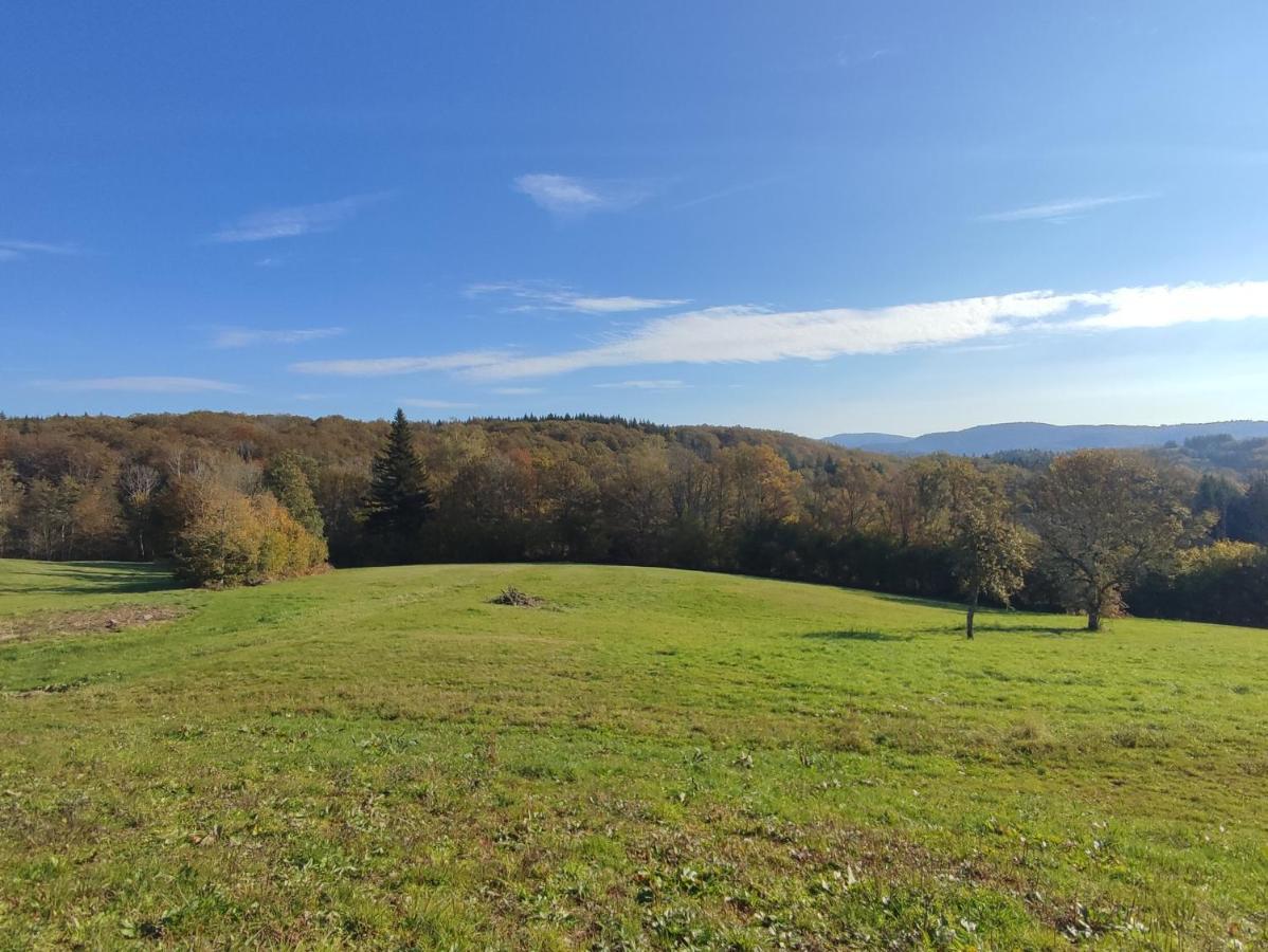 Gite Des Prary Des Mille Etangs Ternuay-Melay-et-Saint-Hilaire Bagian luar foto