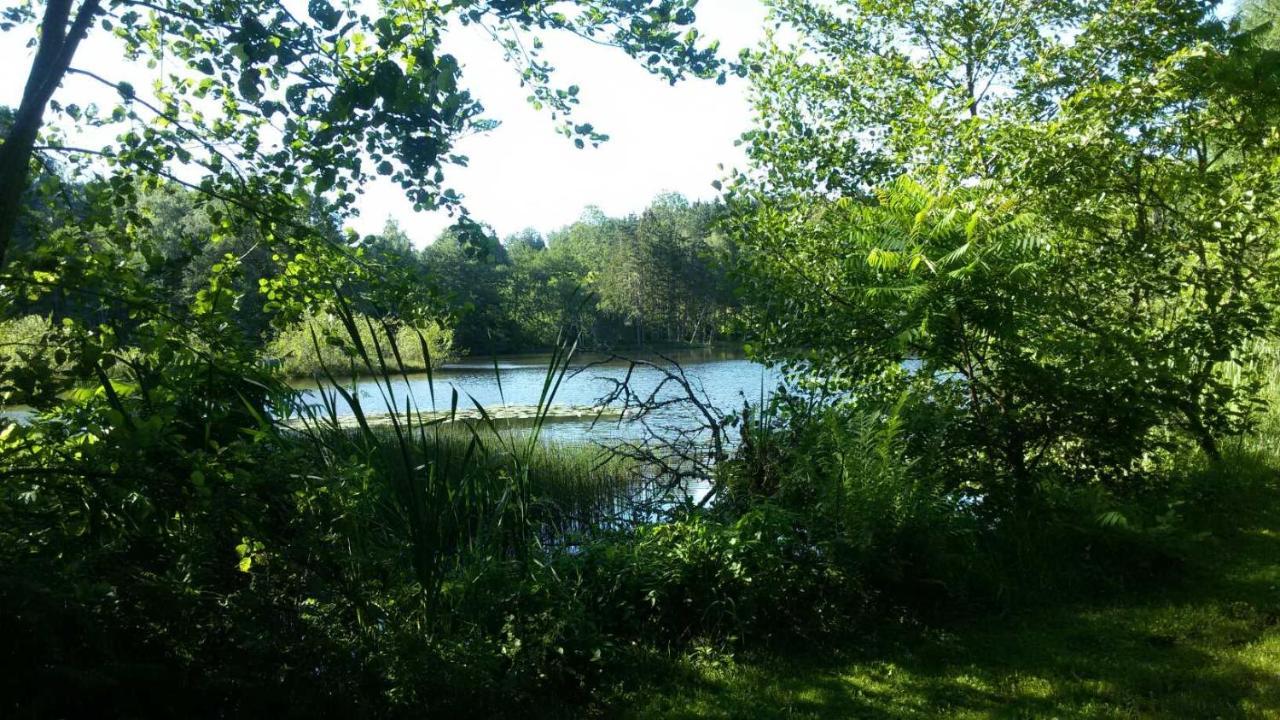 Gite Des Prary Des Mille Etangs Ternuay-Melay-et-Saint-Hilaire Bagian luar foto